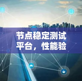 节点稳定测试平台,性能验证与可靠性评估
