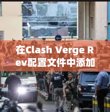 在Clash Verge Rev配置文件中添加 在Clash Verge Rev配置文件中添加