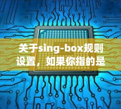 关于sing-box规则设置,如果你指的是某个特定的软件、系统或设备的设置,以下是一些可能的解释和常见的规则设置