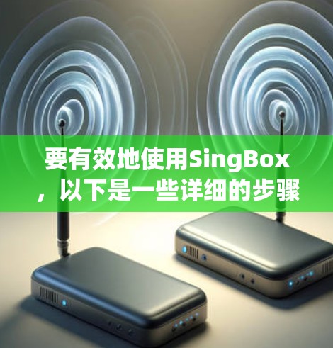 要有效地使用SingBox,以下是一些详细的步骤和建议