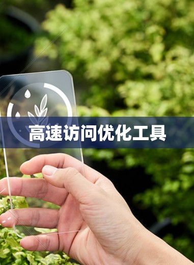 高速访问优化工具
