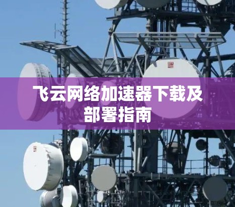 飞云网络加速器下载及部署指南