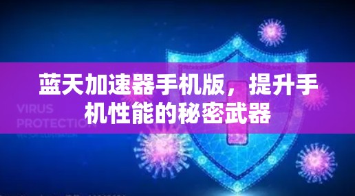 蓝天加速器手机版,提升手机性能的秘密武器