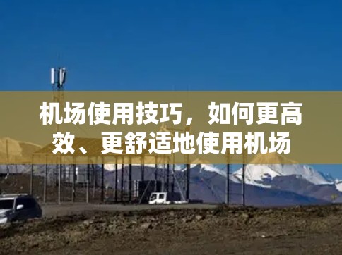 机场使用技巧,如何更高效、更舒适地使用机场