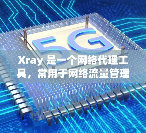 Xray 是一个网络代理工具,常用于网络流量管理、防止网络污染、控制访问等场景。优化 Xray 的性能和稳定性可以从以下几个方面入手