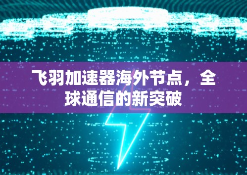 飞羽加速器海外节点,全球通信的新突破