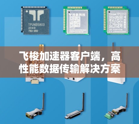 飞梭加速器客户端,高性能数据传输解决方案