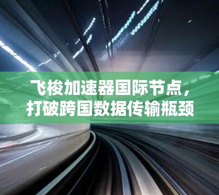飞梭加速器国际节点,打破跨国数据传输瓶颈