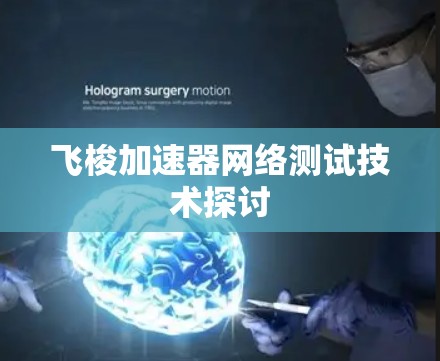 飞梭加速器网络测试技术探讨