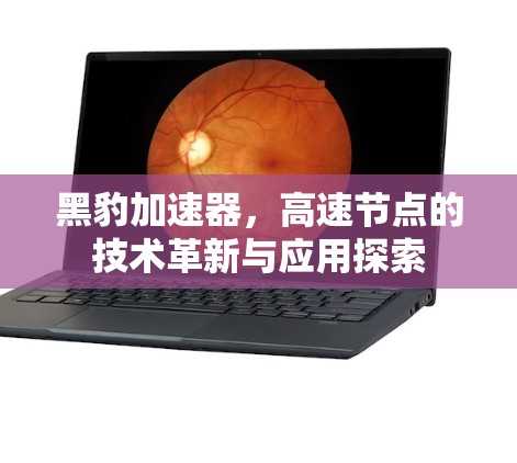 黑豹加速器,高速节点的技术革新与应用探索
