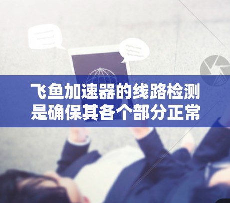 飞鱼加速器的线路检测是确保其各个部分正常工作的关键步骤。以下是详细的步骤和注意事项