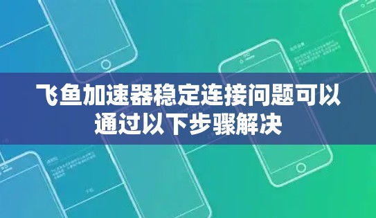 飞鱼加速器稳定连接问题可以通过以下步骤解决