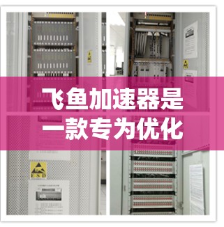 飞鱼加速器是一款专为优化内存和处理性能设计的工具,它通过缓存机制加速数据访问速度,提升系统整体性能。以下是关于飞鱼加速器的一些详细信息和体验分享
