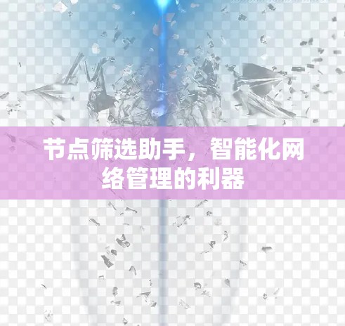 节点筛选助手,智能化网络管理的利器