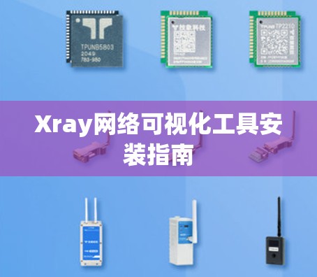 Xray网络可视化工具安装指南
