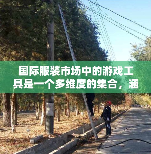 国际服装市场中的游戏工具是一个多维度的集合,涵盖从市场分析到生产、销售、品牌管理等多个方面。以下是对这些工具的详细分类和分析