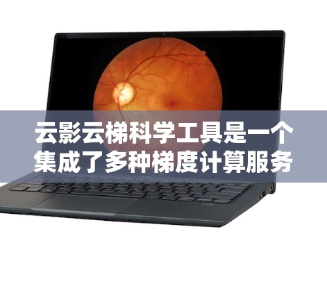 云影云梯科学工具是一个集成了多种梯度计算服务和模型优化技术的平台,旨在帮助用户高效训练大型深度学习模型。以下是对云影云梯的详细分析和总结