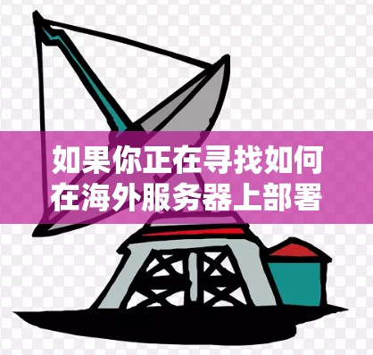 如果你正在寻找如何在海外服务器上部署或使用天启加速器,请提供更多的背景信息或具体问题,以便我能更好地帮助你