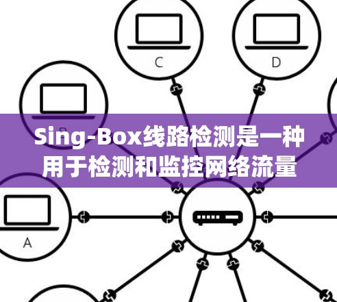 Sing-Box线路检测是一种用于检测和监控网络流量异常的技术,广泛应用于网络安全、流量优化和问题定位等领域。以下是对其的详细解释