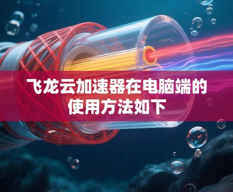 飞龙云加速器在电脑端的使用方法如下