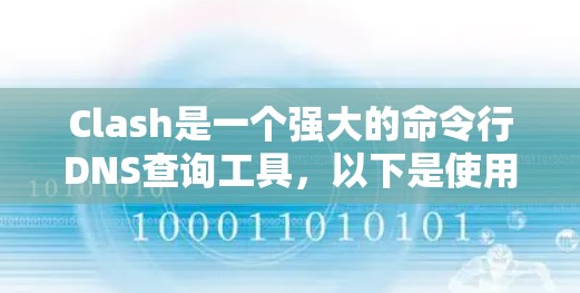 Clash是一个强大的命令行DNS查询工具,以下是使用Clash的基本教程,帮助你快速熟悉并高效使用它
