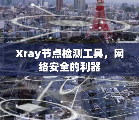 Xray节点检测工具，网络安全的利器