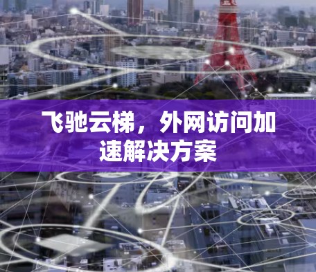 飞驰云梯，外网访问加速解决方案