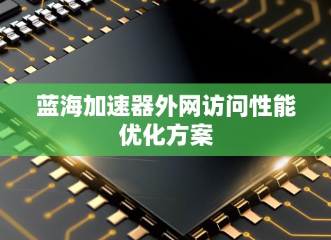 蓝海加速器外网访问性能优化方案