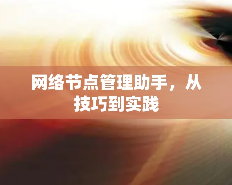 网络节点管理助手,从技巧到实践