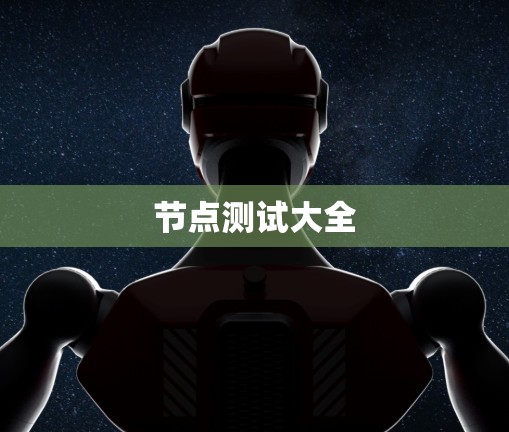 节点测试大全