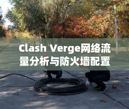 Clash Verge网络流量分析与防火墙配置教程