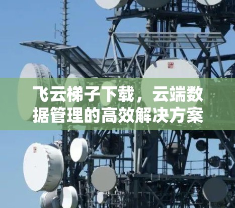 飞云梯子下载，云端数据管理的高效解决方案