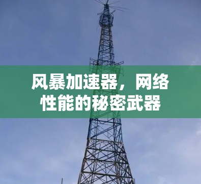 风暴加速器,网络性能的秘密武器