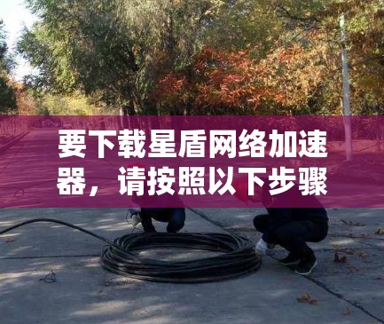 要下载星盾网络加速器，请按照以下步骤操作