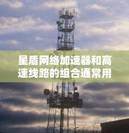 星盾网络加速器和高速线路的组合通常用于高性能网络环境，主要目的是优化数据传输速度和带宽使用效率。以下是关于如何设计和部署星盾网络加速器与高速线路的建议
