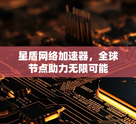 星盾网络加速器，全球节点助力无限可能