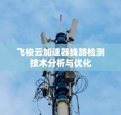 飞梭云加速器线路检测技术分析与优化 飞梭云加速器线路检测技术分析与优化