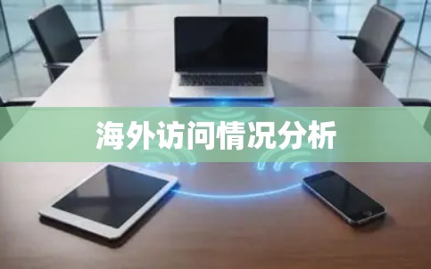 海外访问情况分析