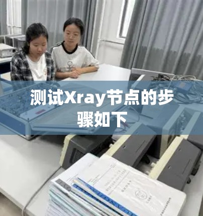 测试Xray节点的步骤如下 测试Xray节点的步骤如下