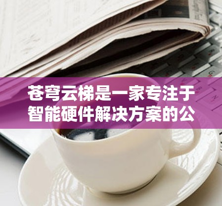 苍穹云梯是一家专注于智能硬件解决方案的公司,主要产品包括智能门锁、摄像头、智能锁等。为了管理这些设备,用户可以使用相关的客户端软件来远程控制和管理设备