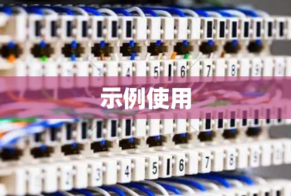 示例使用