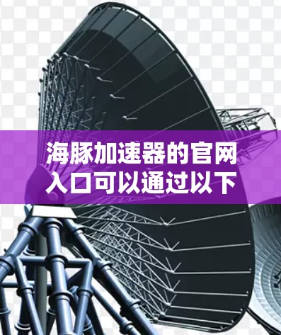 海豚加速器的官网入口可以通过以下步骤访问