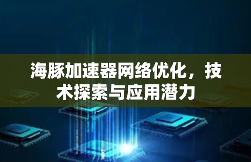 海豚加速器网络优化,技术探索与应用潜力