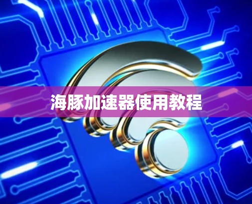 海豚加速器使用教程