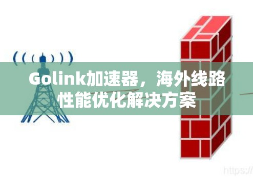 Golink加速器,海外线路性能优化解决方案