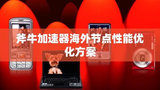 斧牛加速器海外节点性能优化方案