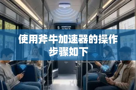 使用斧牛加速器的操作步骤如下 使用斧牛加速器的操作步骤如下