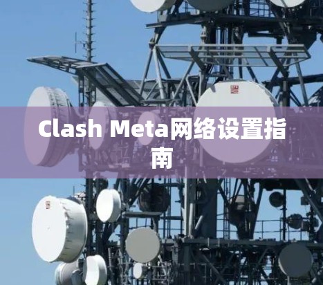 Clash Meta网络设置指南
