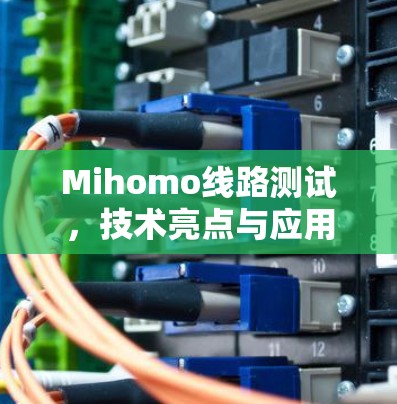Mihomo线路测试,技术亮点与应用探析