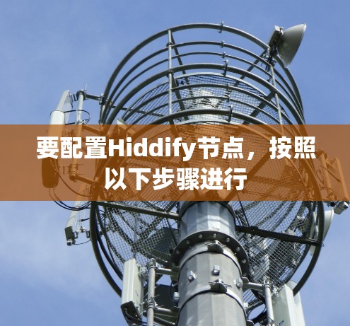 要配置Hiddify节点,按照以下步骤进行 要配置Hiddify节点,按照以下步骤进行